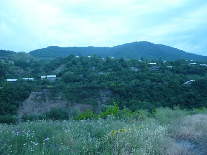 Կարկուտը մեծ վնասներ է հասցրել