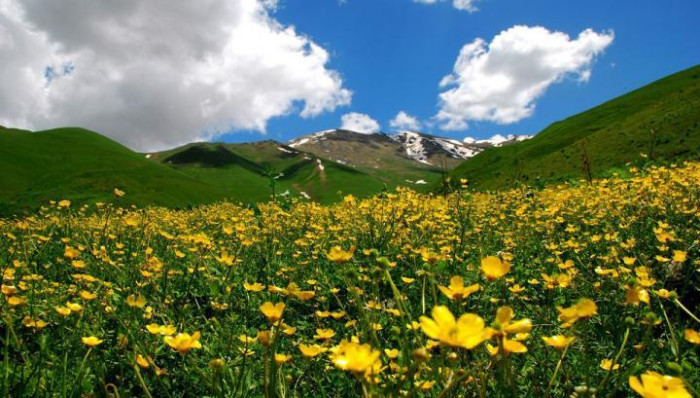 Ինչ եղանակ է սպասվում