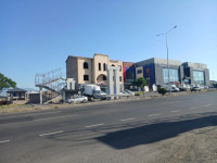 Հետիոտնի անցումն ուշացրին` մինչեւ նոր զոհ եղավ