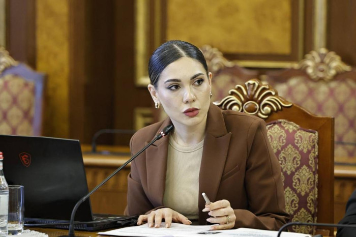 Տիկի՛ն Գալյան,  ժողովուրդը լավ է հիշում ով, երբ և որտեղ է իրականացրել այս ամենը