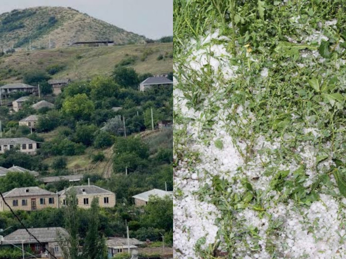 Կարկտահարությունից 12 օր է անցել, վնասները դեռ ճշտում են