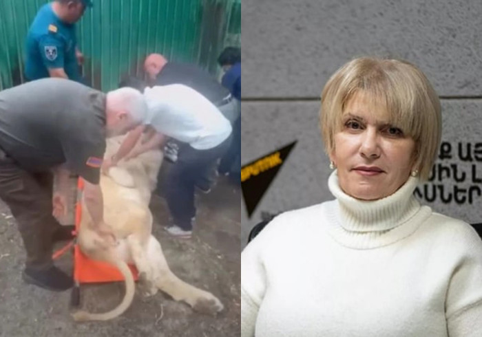«Հրապարակ». Կենդանիները նման գործողություններից ենթարկվում են սթրեսի