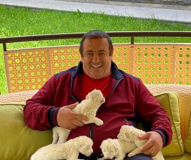 Ինչո՞ւ Գագիկ Ծառուկյանը