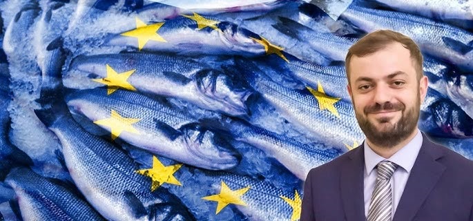Մի կոդ, ու ձուկը լողալով Եվրոպա կհասնի