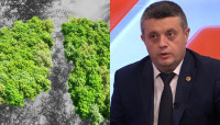 Աշխարհի անտառային պաշարները կարող են արագորեն սպառվել