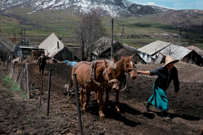 Պայքարողներին առաջարկել են ՌԴ մեկնել