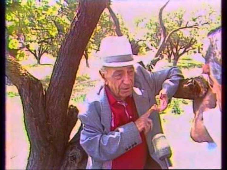 Քանի՜ բուռ արցունք է թափել․․․