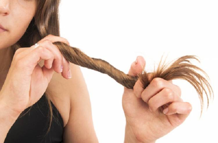 Ոճաբանը նշել է մազերի աճի արդյունավետ միջոցներ