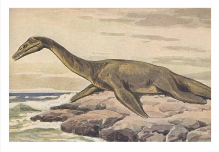 Հնագույն դինոզավրի մնացորդներ են հայտնաբերվել 