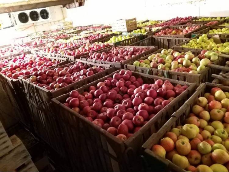 «Հրապարակ»․ Քաղաքական որոշում՝ տնտեսական ոլորտում