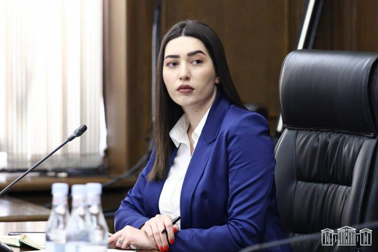 ՆԳ նախարարը՝ արցախցի երիտասարդի խոշտանգման դեպքի մասին