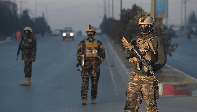 Աֆղանստանում ուժայինները մոտ 300 գրոհային են ոչնչացրել