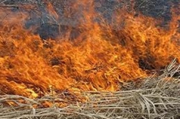ՈՒրասար գյուղում կուտակված անասնակեր է այրվել