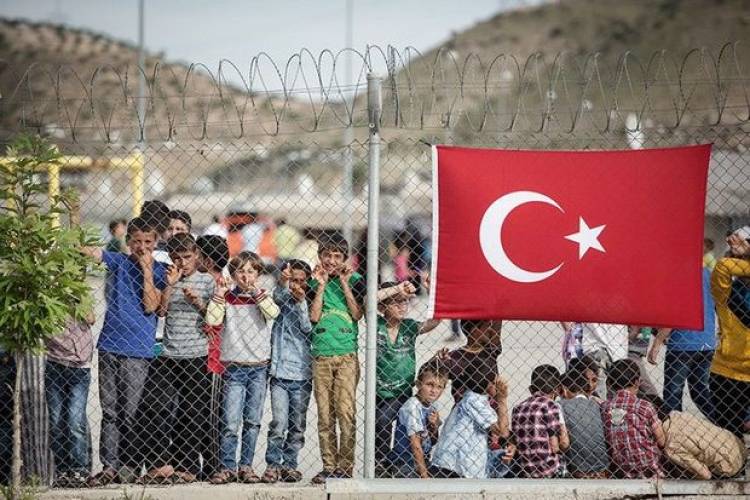 Թուրքիայում չեն դժգոհում միգրանտներից
