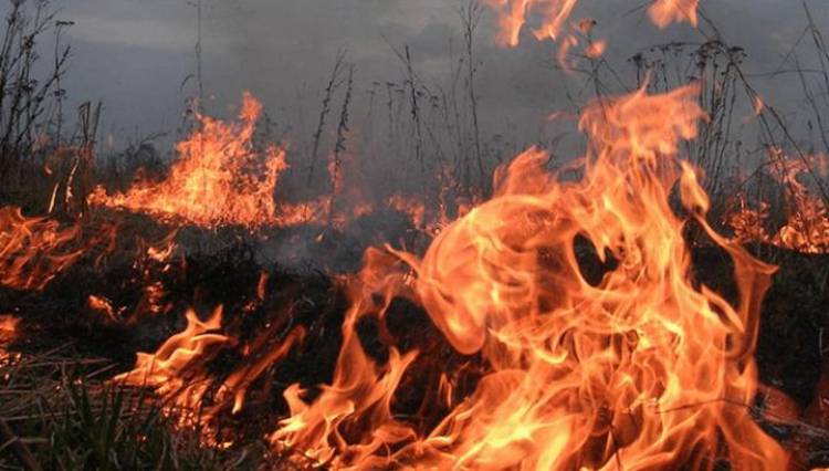 Նժդեհ գյուղի մոտակայքում այրվել է շուրջ 10 հա խոտածածկույթ