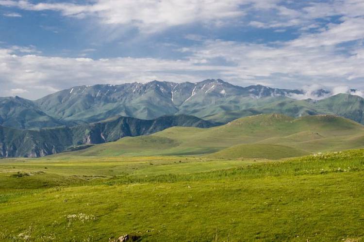 Առանց թափոնների՝ մաքուր և կանաչ Հայաստան
