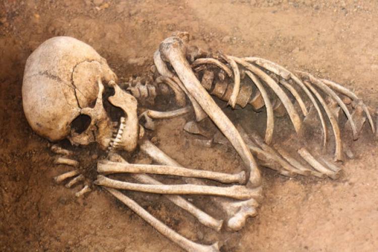 Մահացած մարդկանց կամ կենդանիների մարմինները կարող են «տեղաշարժվել»․ գիտնականներ