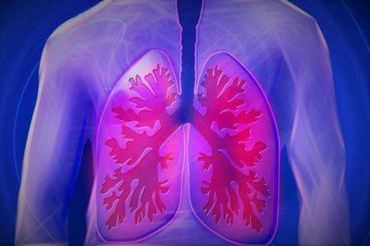 Այս մթերքները կօգնեն վերականգնել ծխող մարդկանց թոքերը