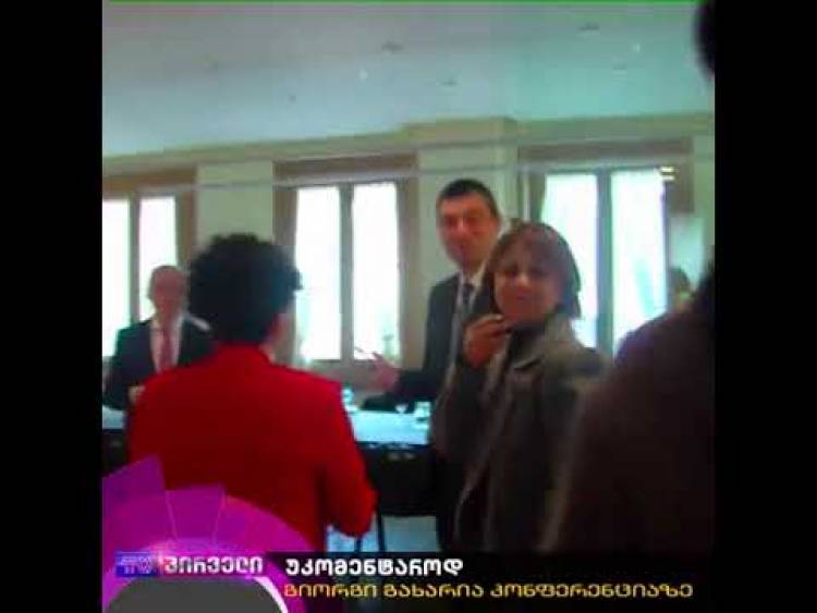Վրաստանի վարչապետը բախվել է ապակե պատին (տեսանյութ)