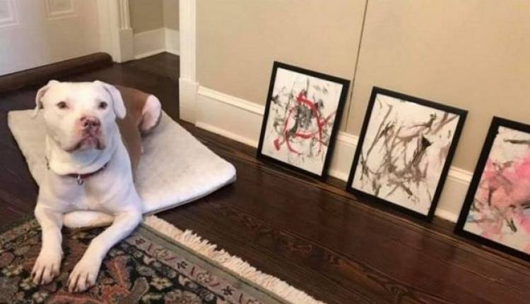 Նկարիչ շունը աճուրդում 4000 դոլար է վաստակել