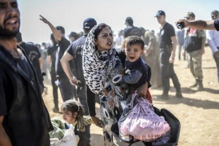 Մոտ կես միլիոն փախստական Իդլիբից մոտենում է թուրքական սաhմանին․ Էրդողան