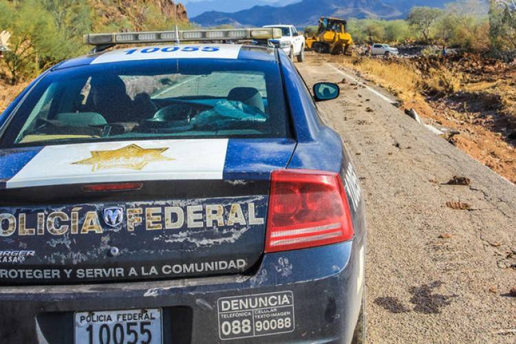 Մեքսիկական ֆերմայում հայտնաբերվել է մարդկանց զանգվածային հուղարկավորման գերեզման