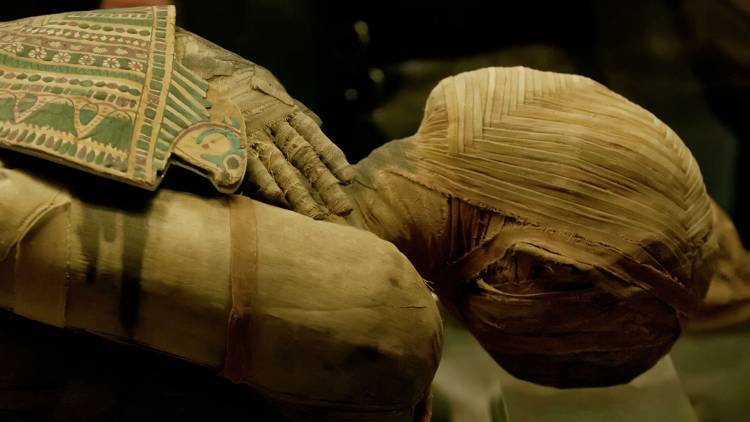 Եգիպտական մումիայի ներսում անսովոր արտեֆակտ է հայտնաբերվել 