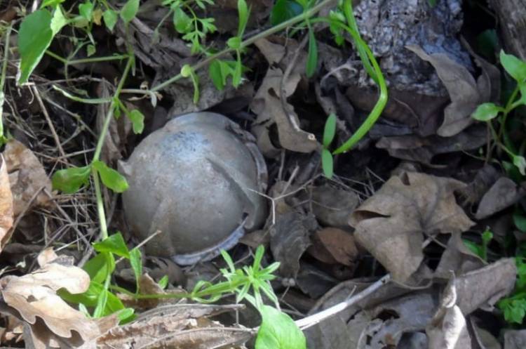 Շոշ համայնքի տնամերձ հողամասերից մեկում հայտնաբերվել է գնդիկաբեկորային ռումբ