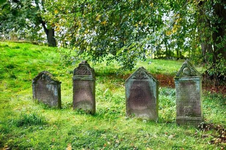 Տարեց տուրիստներին էքսկուրսիայի փոխարեն տարել են գերեզմանոց