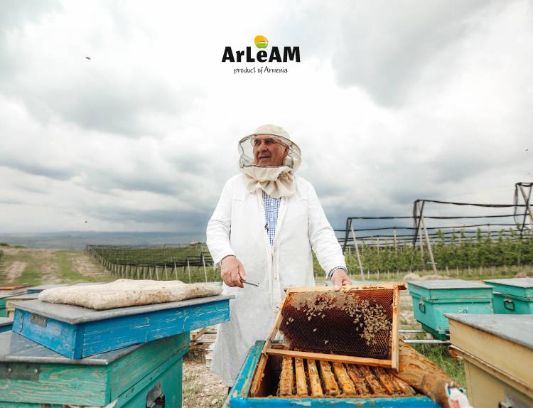 Անուշահամ միրգ ու անարատ մեղր. ArLeAM-ն աջակցում է նաև գործընկերներին